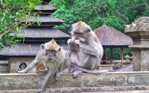 The 3 Magical Temples