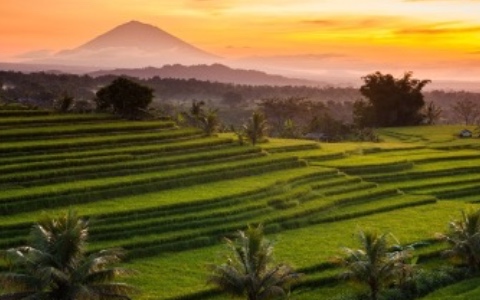 Central Highlands & Tanah Lot Temple