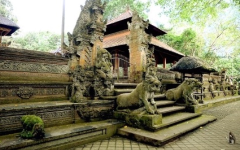 Ubud & Kintamani Tour