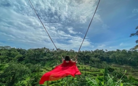 Ubud & Kintamani Tour