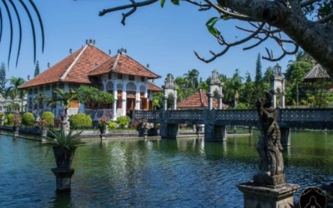 The Far Eastern Region